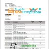 editable template, Japan Chiba bank statement template in Word and PDF format