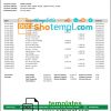 editable template, Jordan Cairo Amman Bank statement template in Word and PDF format