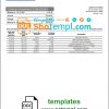 editable template, Laos Lao Viet Bank statement template in Word and PDF format