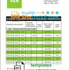 editable template, Latvia SEB Bank statement template in Word and PDF format