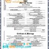 editable template, USA state Michigan Kent County marriage certificate template in PSD format, fully editable, version 2