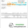 editable template, USA Costco invoice template in Word and PDF format, fully editable