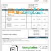 editable template, USA JD invoice template in Word and PDF format, fully editable