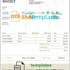 editable template, USA Louis Vuitton invoice template in Word and PDF format, fully editable