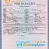 editable template, USA California Marriage Certificate template in PSD format