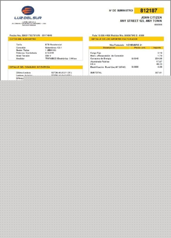 editable template, Peru Luz de Sur utility bill template in Word and PDF format, fully editable