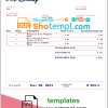 editable template, USA Disney invoice template in Word and PDF format, fully editable