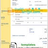 editable template, USA LIC invoice template in Word and PDF format, fully editable