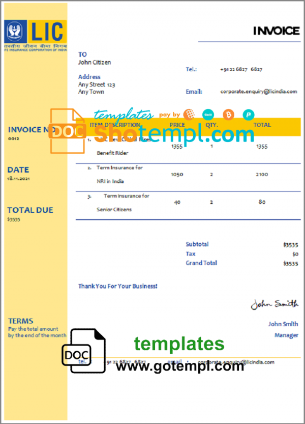 editable template, USA LIC invoice template in Word and PDF format, fully editable