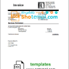 editable template, USA Cisco invoice template in Word and PDF format, fully editable