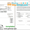 editable template, USA RG&E utility bill template in Word and PDF format (5 pages)