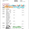 editable template, Dominica Barnett Capital bank statement template in Word and PDF format