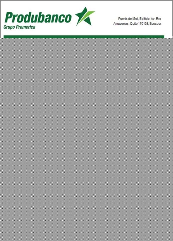 editable template, Ecuador Produbanco proof of address bank statement template in Word and PDF format