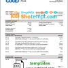 editable template, Estonia Coop Pank proof of address bank statement template in Word and PDF format