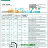 editable template, Maldives HBL bank statement template in Word and PDF format