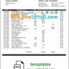 editable template, Nauru Eagle bank statement template in Word and PDF format