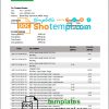 editable template, Nepal Nabil Bank bank statement template in Word and PDF format