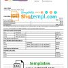 editable template, Nepal Rastriya Banijya Bank bank statement template in Word and PDF format
