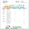 editable template, Netherlands ABN AMRO bank statement template in Word and PDF format