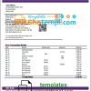 editable template, Netherlands SNS bank statement template in Word and PDF format
