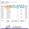 editable template, New Zealand Heartland bank statement template in Word and PDF format