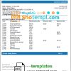 editable template, Nicaragua BAC Credomatic bank statement template in Word and PDF format