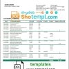 editable template, Niger Bank of Africa bank statement template in Word and PDF format