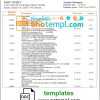 editable template, Pakistan Al Baraka bank statement template in Word and PDF format