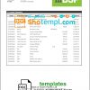 editable template, Papua New Guinea BSP bank statement template in Word and PDF format