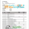 editable template, Peru Citibank bank statement template in Word and PDF format