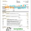 editable template, Qatar Doha Bank statement template in Word and PDF format