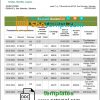 editable template, Salvador Banco Azteca bank statement template in Word and PDF format