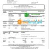 editable template, USA Georgia SunTrust bank proof of address statement template in .xls and .pdf format