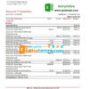 editable template, USA North Carolina BB&T Corp. bank statement template in Excel and PDF format