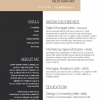 editable template, High Quality Professional CV template in WORD format