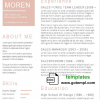 editable template, Modern Resume Template in WORD format