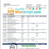 editable template, Sierra Leone Bank of Sierra Leone bank statement template in Word and PDF format
