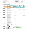 editable template, Sierra Leone National Development bank statement template in Word and PDF format