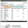 editable template, South Africa ABSA bank statement template in Word and PDF format