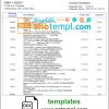 editable template, South Africa Discovery bank statement template in Word and PDF format