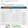 editable template, South Korea Shinhan bank statement template in Word and PDF format