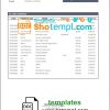 editable template, Tajikistan Spitamen Bank statement template in Word and PDF format