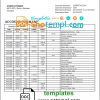 editable template, Tanzania Access Bank statement template in Word and PDF format