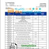 editable template, Timor-Leste BNCTL bank statement template in Word and PDF format