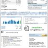 editable template, USA North Carolina Brunswick Electric utility bill template in Word and PDF format