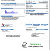 editable template, USA Texas City of Duncanville utility bill template in Word and PDF format