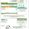 editable template, USA Virginia HCSA utility bill template in Word and PDF format