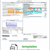 editable template, USA Mon Power utility bill template in Word and PDF format