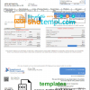 editable template, USA Rappahannock Electric Cooperative utility bill template in Word and PDF format