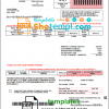 editable template, USA Rural Electric Cooperative utility bill template in Word and PDF format